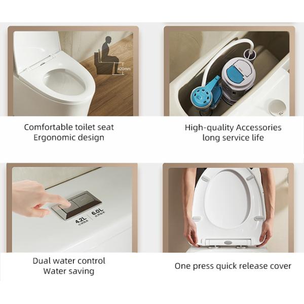 One Piece Bathroom Ceramic Toilet 4.2 / 6L Dual Siphon Flushing Floor Mounted