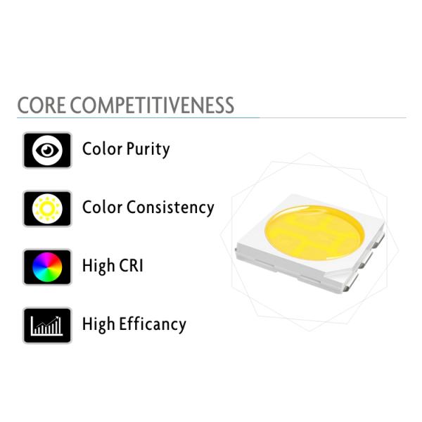 Warm White High Voltage LED Strip Tape Lighting High CRI Led Light Strips For Homes