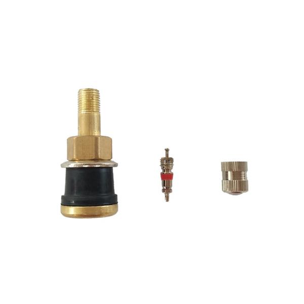 Bolt in Brass Valve Stem TR501 EPDM Grommet 42mm Lenght CE Certification