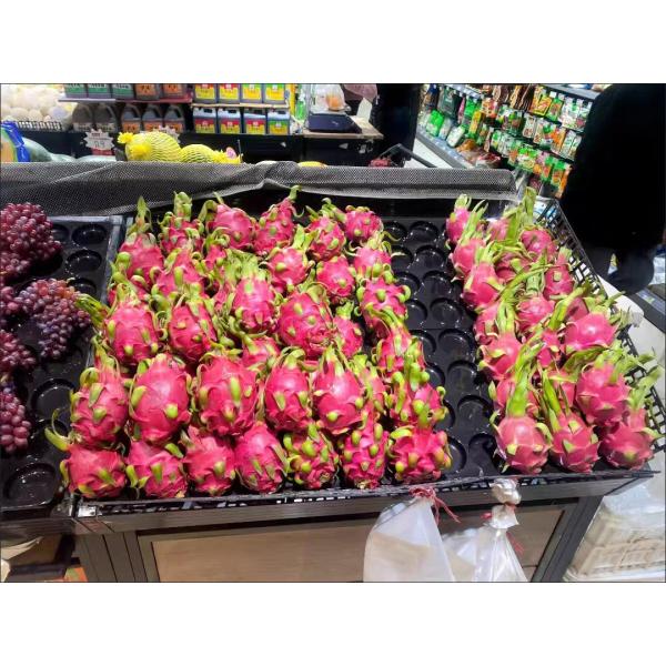 24 40 hole fruit tray plastic black PP PET display apple plastic tray