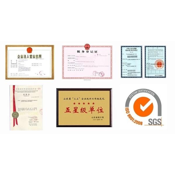 Original HOWO Truck Parts Wg1642430283 Steel Spring Suspension Damper with Hydraulic