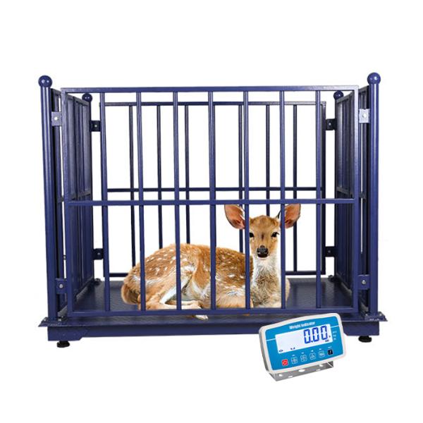 Stainless Steel Horse Scale Floor Scale for Livestock Farm With Fence 500g Accuracy and AC110V/220V Power Supply