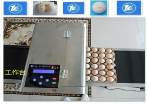 High Resolution Egg Inkjet Date Code Printer With No Need Clean Nozzle