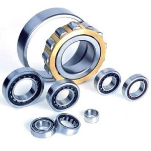 Stainless Steel Trailer Wheel bearing NU1014 With Carbon steel