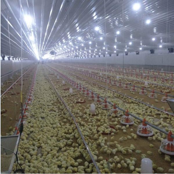 0.75 Kwatt Poultry Parts Gear Drive Engine Motor