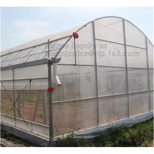 PE protective film customized green house for agriculture anti frost,Venlo Glass Agricultural Green house, SUPPLIES, PAC