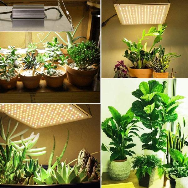 Separate Hanger 120W AC85V UV LED Grow Lights