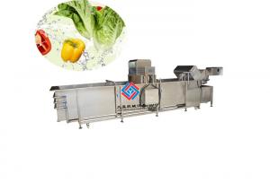 Quality 1000 KG Fruit And Vegetable Cleaner Machine , Garlic Lettuce Herb Washing Machine wholesale