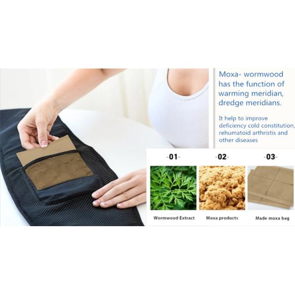 Electric Timing Warm Heating Waist Belt Heated Waist Belt Lumbar Support