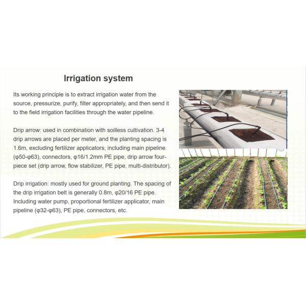 Multi Span Venlo Greenhouse Agricultural Polycarbonate Green House