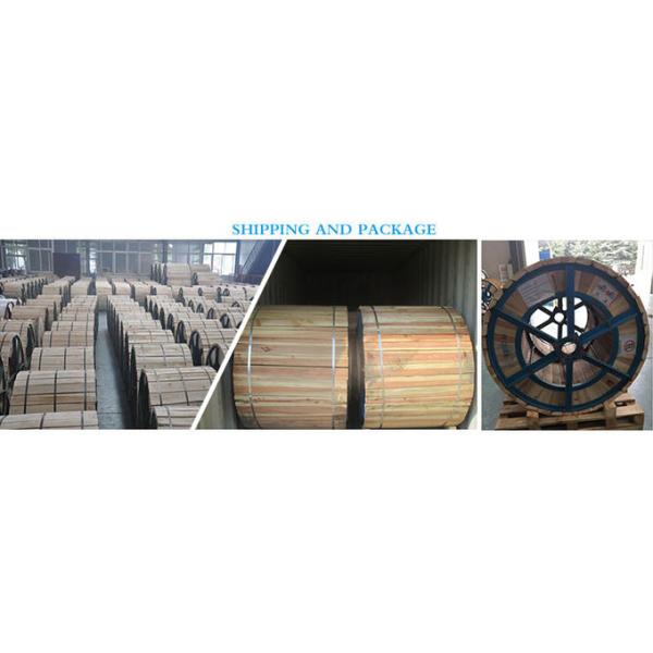 Good price aaac/acsr/aac conductor 50mm2 100mm2 acsr 1/0 conductor cable 6
