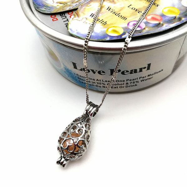 Oyster Pearl Cage Bead Cage Essential Oil Diffuser Locket Pendant Jewelry Making