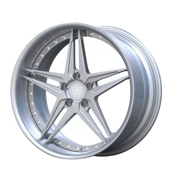 19-inch two-piece custom forged alloy wheels with deep concave type and brushed silver wheel rims