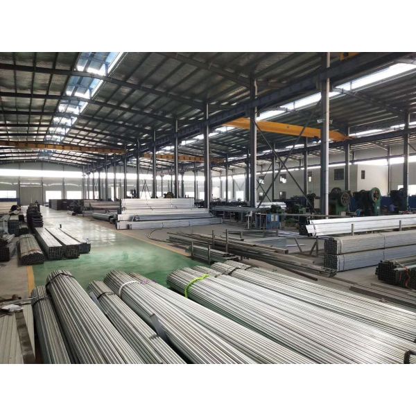 Strong Structure Galvanized Venlo Type Greenhouse Commerical Green House