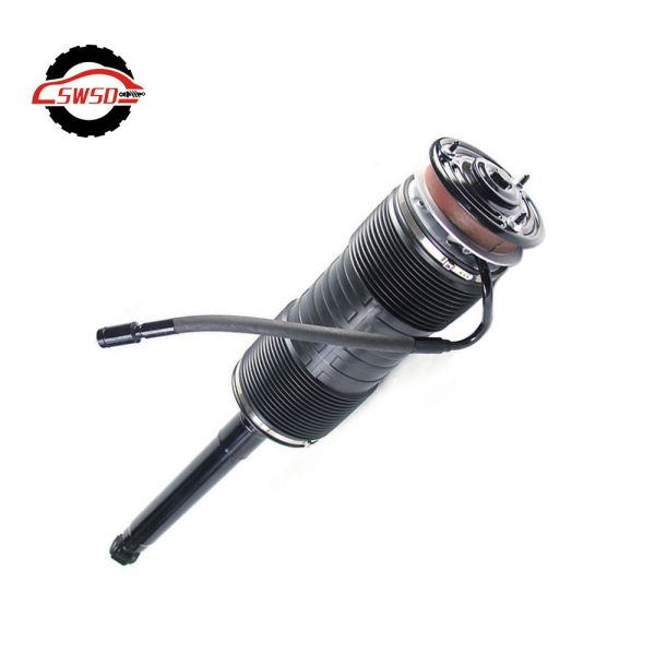 A2213206713 A2213206813 Hydraulic Shock Absorber