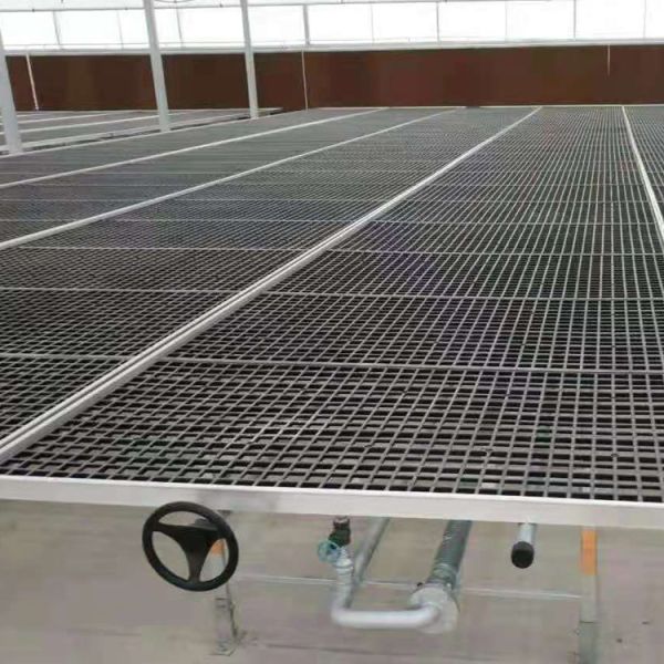 Commercial Seedbed Wire Rolling Greenhouse Benches For Flowers
