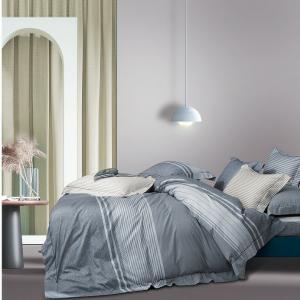 Quality Organic Cotton Bedding Sets Stripe Light Blue 3pc 100 Cotton Duvet Set wholesale