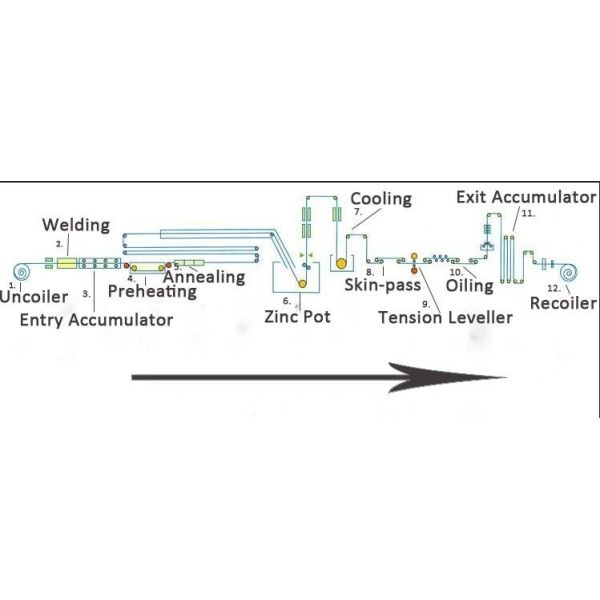 0.12mm - 0.6mm Prepainted Galvanized Steel Coil Dx51d Ral 6005