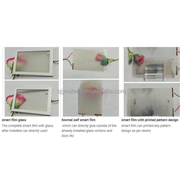 QJY20240301-02 Modern Decorative Smart Film License Plates