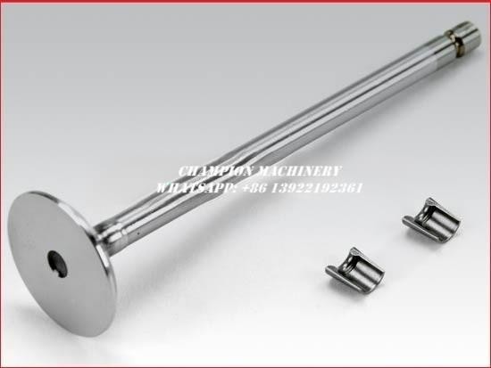 Standard Size 3802924EA Cummins Engine Parts Intake Valve Kit