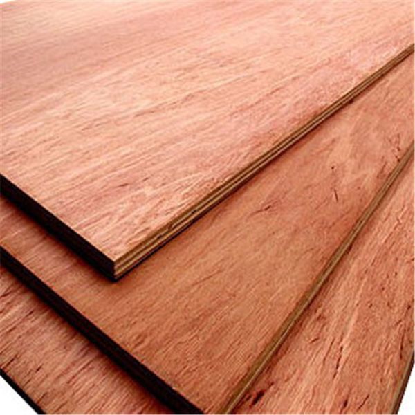First Class WBP Phenolic 1220×2440mm Bintangor Plywood