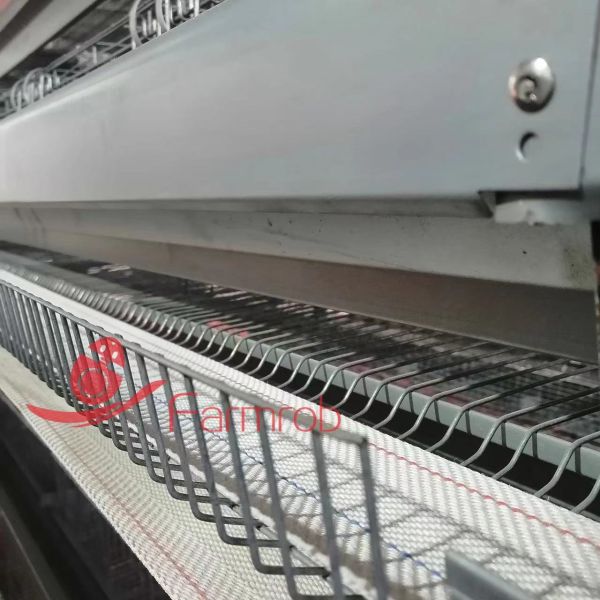 Automatic Poultry / Chicken Egg Collection System For Laying Hen