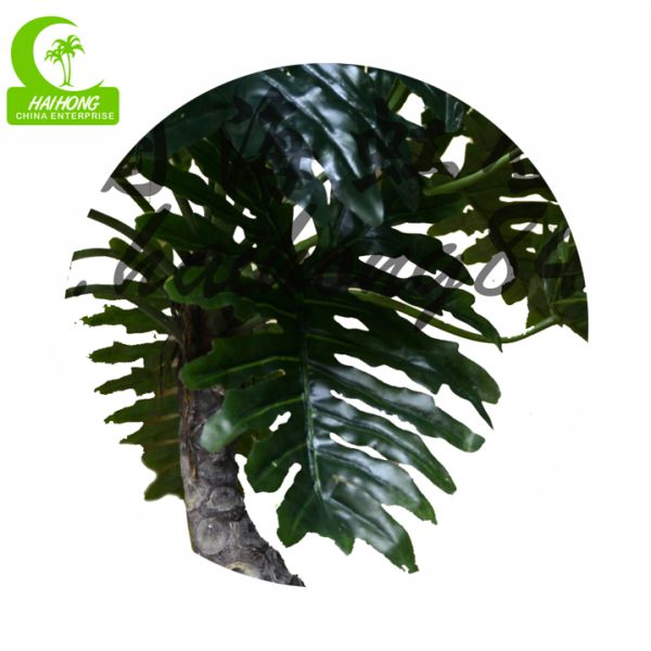 split philo plant x1