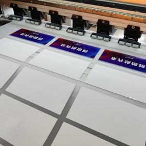 Quality Heat Transfer DTF PET Transfer Film For custom T Shirt Printing wholesale