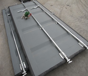 20ft 40ft Dry Cargo Shipping Container Doors with Finished Surface and Necessery Lead Acid Battery