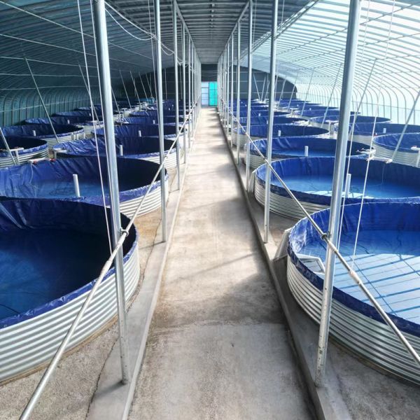 7000 Liters Diameter 3m X Height 1m Square/Round Fish Pond 1800 Gallon Foldable Plastic Tank Swimming Pool For Promotion