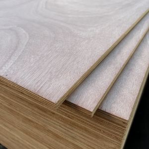 Quality Moistureproof Hardwood Veneer Plywood Sturdy Thickness 3mm-25mm wholesale