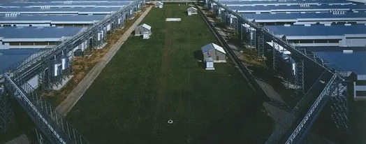 ISO Certified Prefab Poultry House Automatic Manure Removal Feeding System