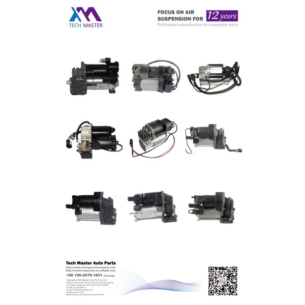 OEM Spring Repair Kits For Panamera Air Suspension Compressor 97035815110 97035815109 Air Pump