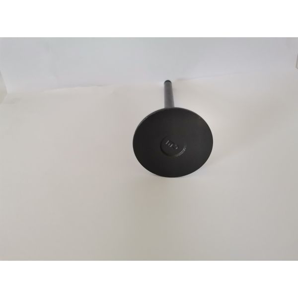 Steel Material 98468338 Diesel Engine Valve / Inlet Valve For FIAT IVECO