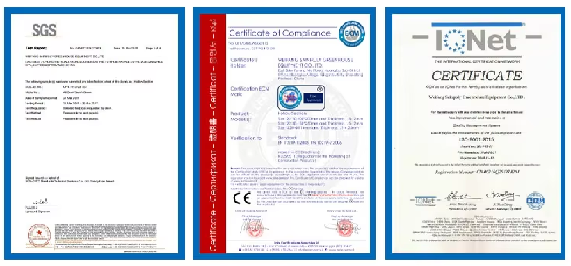 Venlo Greenhouse Commercial Polycarbonate Greenhouse For Seeds Vegetables Hydroponic Tomato Cucumber