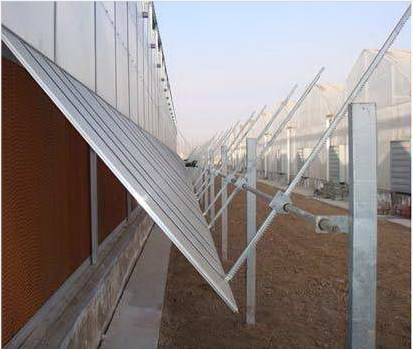 Venlo Greenhouse Commercial Polycarbonate Greenhouse For Seeds Vegetables Hydroponic Tomato Cucumber