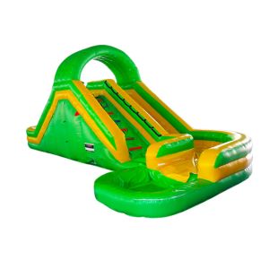 Quality Aldult Outdoor Rental Inflatable Large Water Slides With Bouncy wholesale