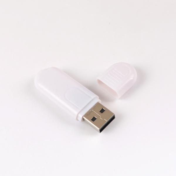 128G Memory Plastic USB Stick with SanDisk Chips and USB 3.1 Port