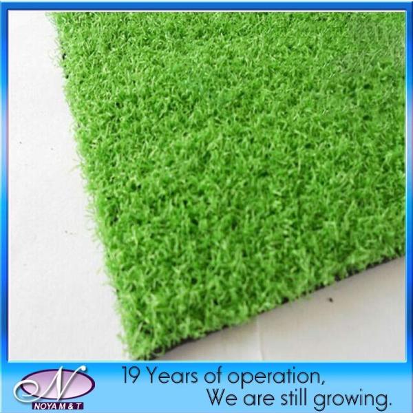 Synthetic Fake PP Artificial Turf Grass for Football Field (NYG001)