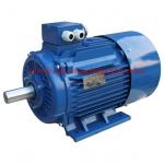 Y3 Super High Efficiency Electric Motor and Water Pump Motor, 3 ph AC Induction