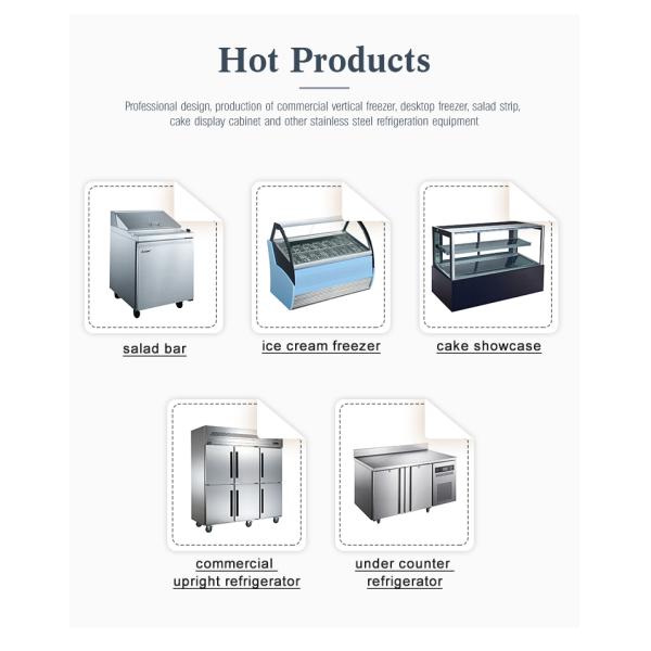 Commercial Stainless Steel  2 Doors Freezer GN Upright Refrigerator Hotel Restaurant Kitchen Chiller Freezer