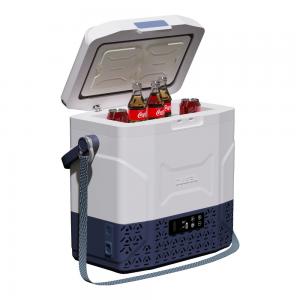 Quality 12L Portable Camping Compressor Car Fridge -20 10 C Refrigerator for Home and Camping wholesale