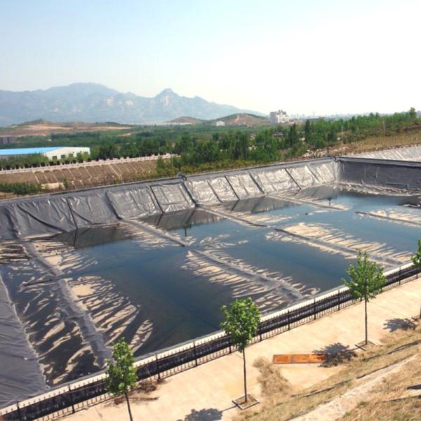 Industrial Style 1mm Geomembrane Pond Liner HDPE Plastic Liner Geomembrane Pond Liner For Fish Pond Made PVC LDPE LLDPE PP Materials For Landfill