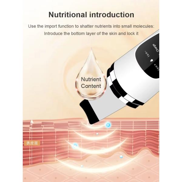 28kHz Frequency Ultrasonic Skin Scrubber Deep Cleaning Facial Pore Cleansing Exfoliator