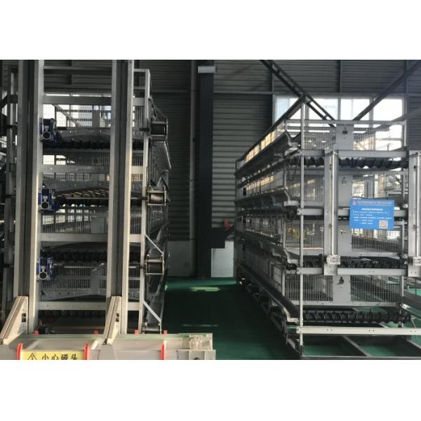 Poultry House Automatic Poultry Feeder System for chicken house