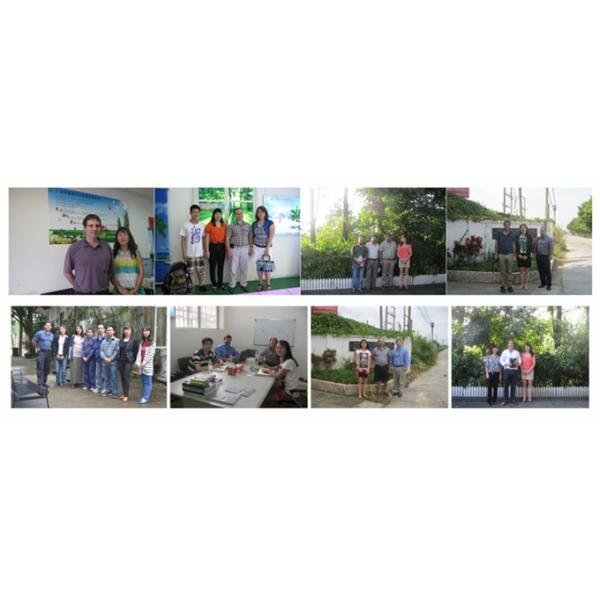 6 Feet Commercial Outdoor Metal Benches For Park Garden Community