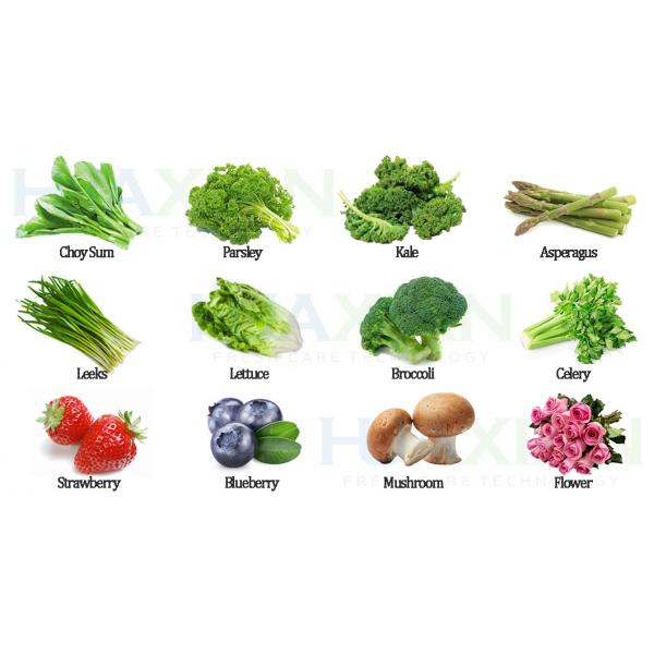 3000kgs Vegetable/Fruit Vacuum Cooler, Double Chamber Economic Farm Cooling Machinery Cooler