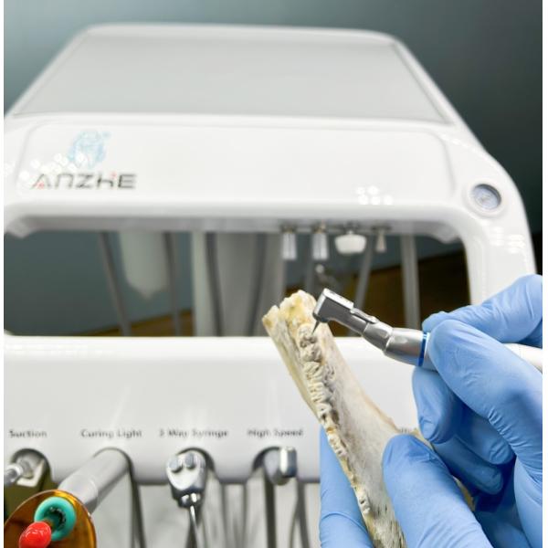 Pet Clinic Mobile Dental Cart Animal Hospital Multi-function Operation Cart Veterinary Dental Equipment Teeth Treatment Trolley