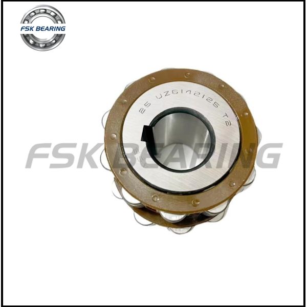 Gear Reducer 6122529YSX 6121317YSX Cylindrical Eccentric Roller Bearing 22*58*33mm For Agriculture