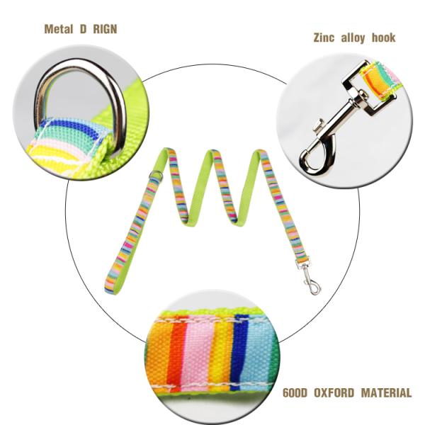 Cute Rainbow Pet Dog Collar Leash Set Nylon Custom Logo Fashion Sublimation